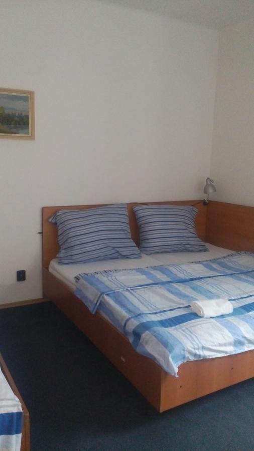 Hotel Britz Velké Hamry Eksteriør billede